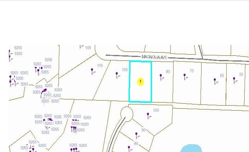 2nd image of Lot 24 MAGNOLIA Avenue