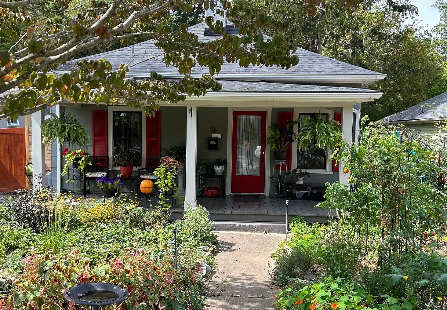 2 bed, 900 sqft, $1,600 — Photo 1