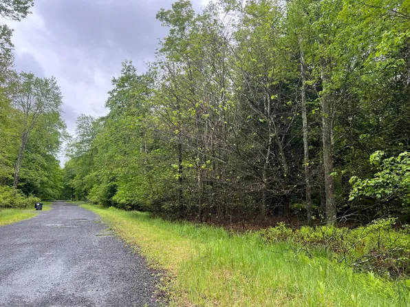 Land Pin 1 Forest Ln W #1001-W, Pocono Lake, PA 18347