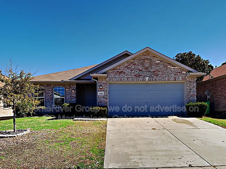 1046 Warbler — Photo 1