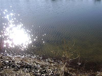 4th image of 14388 Horn Dr