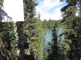 37645 State Park Rd, Soldotna, AK 99669