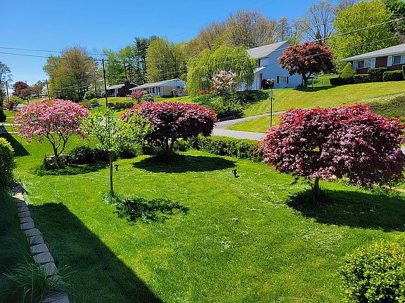 Frontyard Spring2