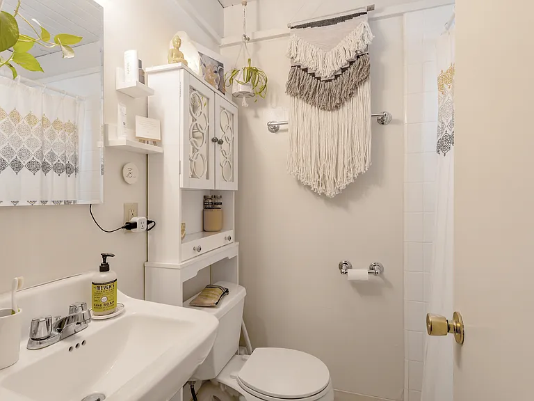 Studio bathroom with full shower and bathtubs.