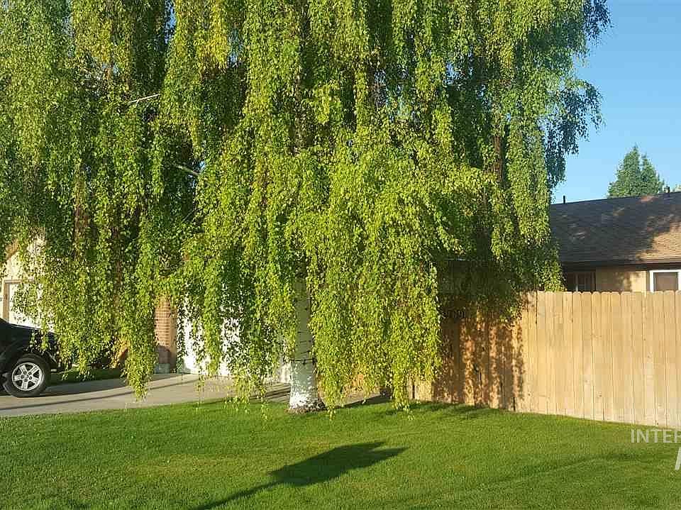 2nd image of 969 Eastland Dr