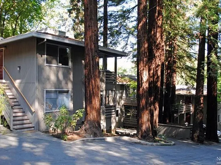 351 Olema Rd — Photo 11