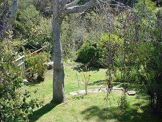 2nd image of 439 Lomita Ave