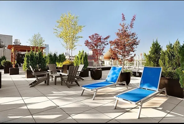 Rented by Douglas Elliman | media 19