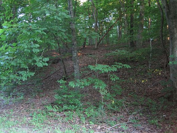 More woods on property 