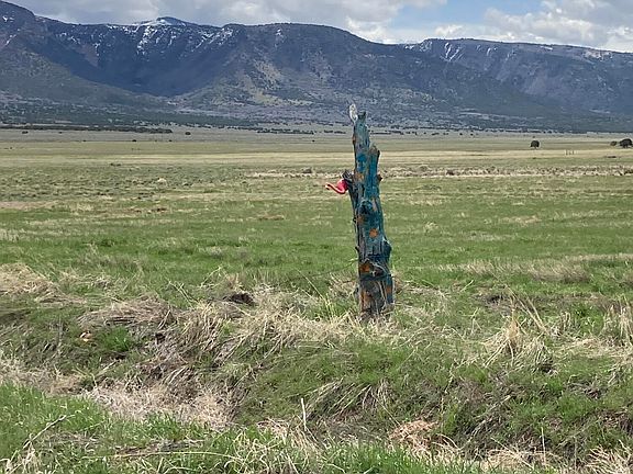 5th image of County Road 4616