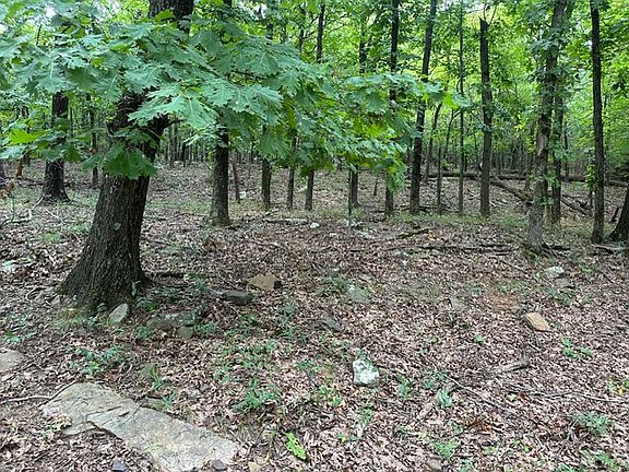 4th image of 14295 Blue Mountain Rd
