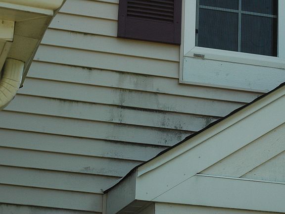 Exterior Mold