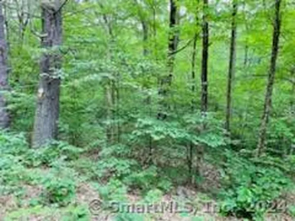 93 New City Road, Stafford, CT 06076