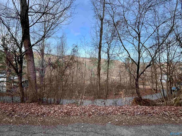4 & Pne Lot 5, Scottsboro, AL 35769