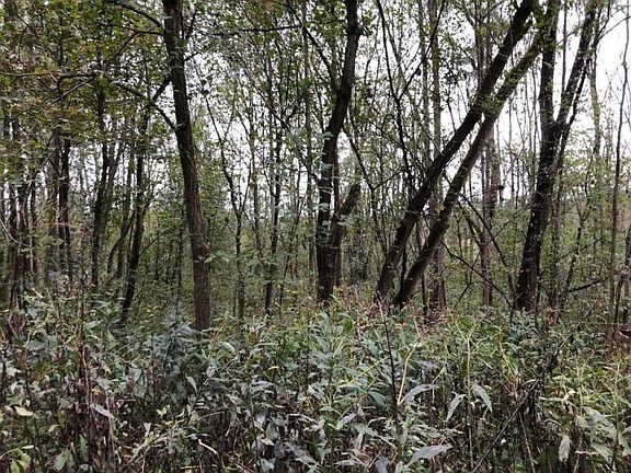 4th image of 1428 Township Road 93