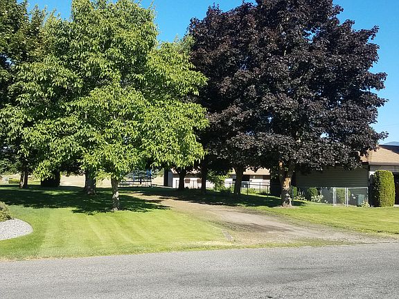 Beautiful tree lined drive