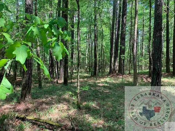 County Road 3562, Queen City, TX 75572