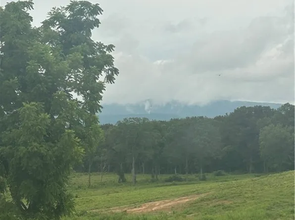 10108 Blevins Hill Ln, Dardanelle, AR 72834