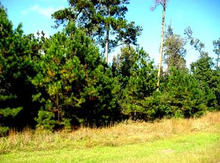 362 Meadowview Ct, Montgomery, TX 77316