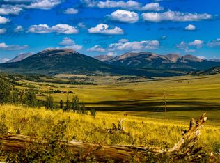 2490 Redhill Rd, Fairplay, CO 80440