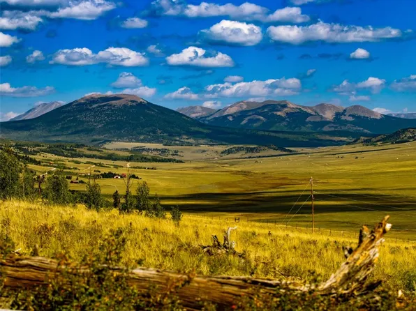 2490 Redhill Rd, Fairplay, CO 80440