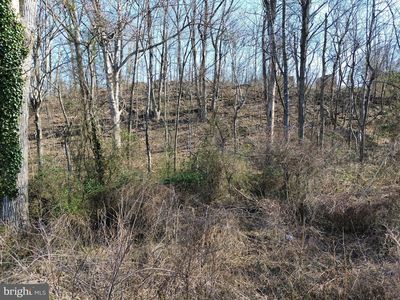 LOT F12 Us Highway 340, Luray, VA, 22835