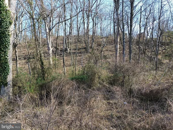 LOT F12 Us Highway 340, Luray, VA 22835