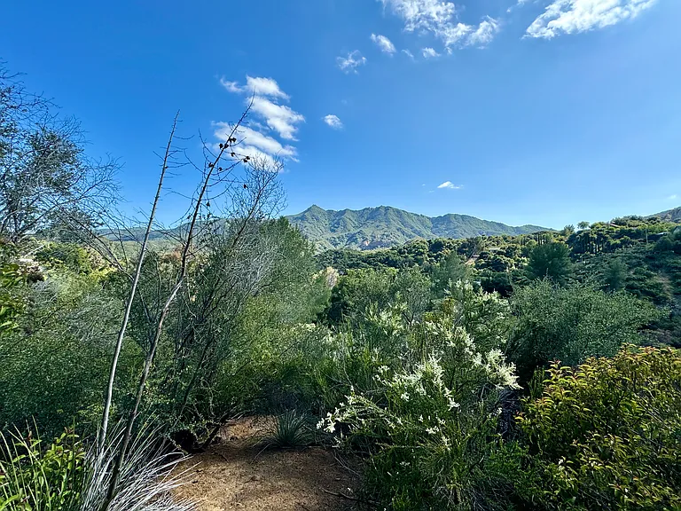 100 yards up the garden trail