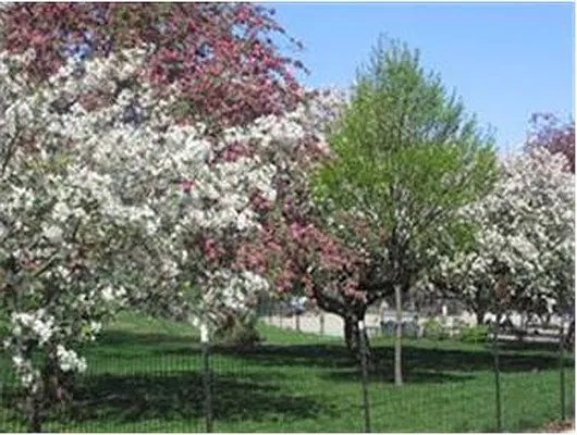 Rented by Douglas Elliman | media 18