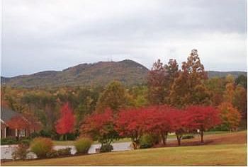 4th image of 31 Millers Pond Way