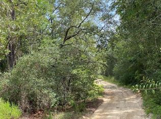 408 S Crestview Ave, Inverness, FL 34452