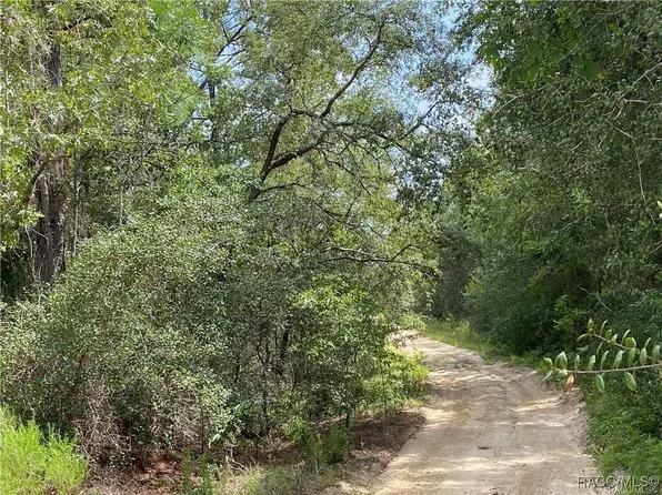 408 S Crestview Ave, Inverness, FL 34452