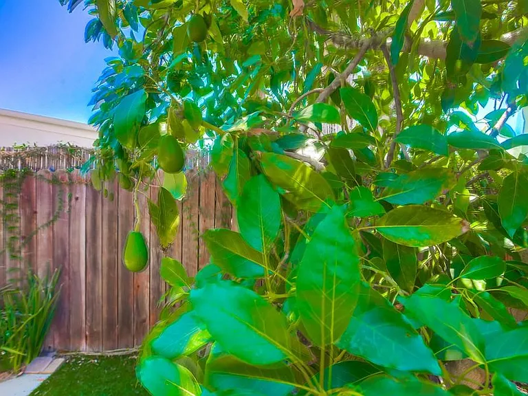 151 Christen Way — Photo 35