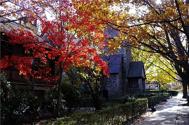 Rented by 18 REALTY | media 24