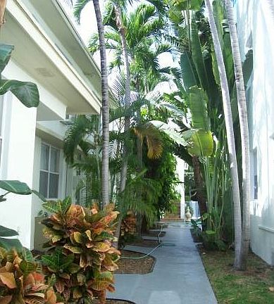 4th image of 1030 Jefferson Ave APT 5
