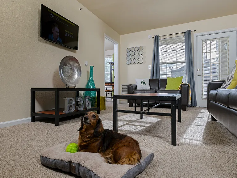 Block 36 - Student Living Priced Per Room — Photo 15