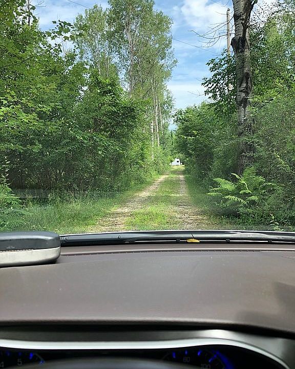 Driveway to clearing.