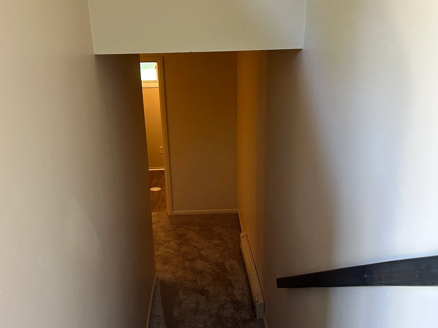3 bed, 1568 sqft, $2,400 — Photo 4