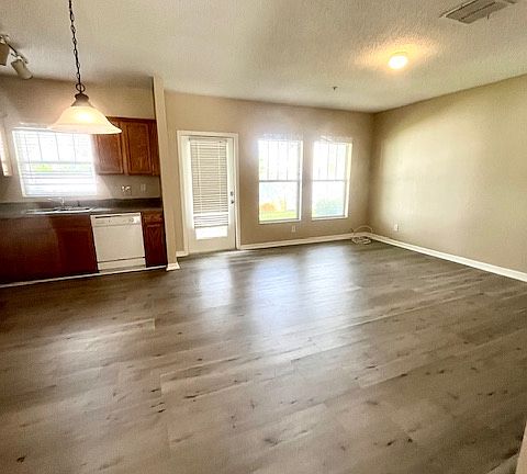 Kitchen/living view