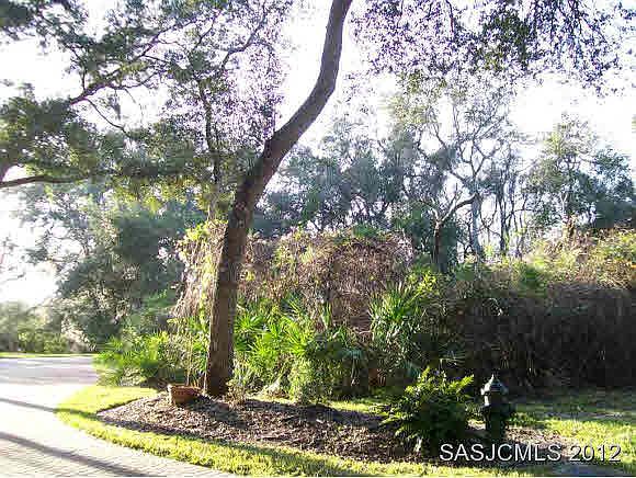 1st image of 217 Golden Oaks Ln