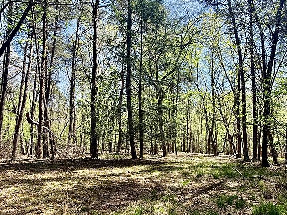 2nd image of 0 Timberwood Trce Lot 310