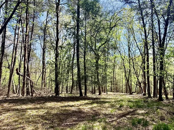 0 Timberwood Trce Lot 310, Monteagle, TN 37356