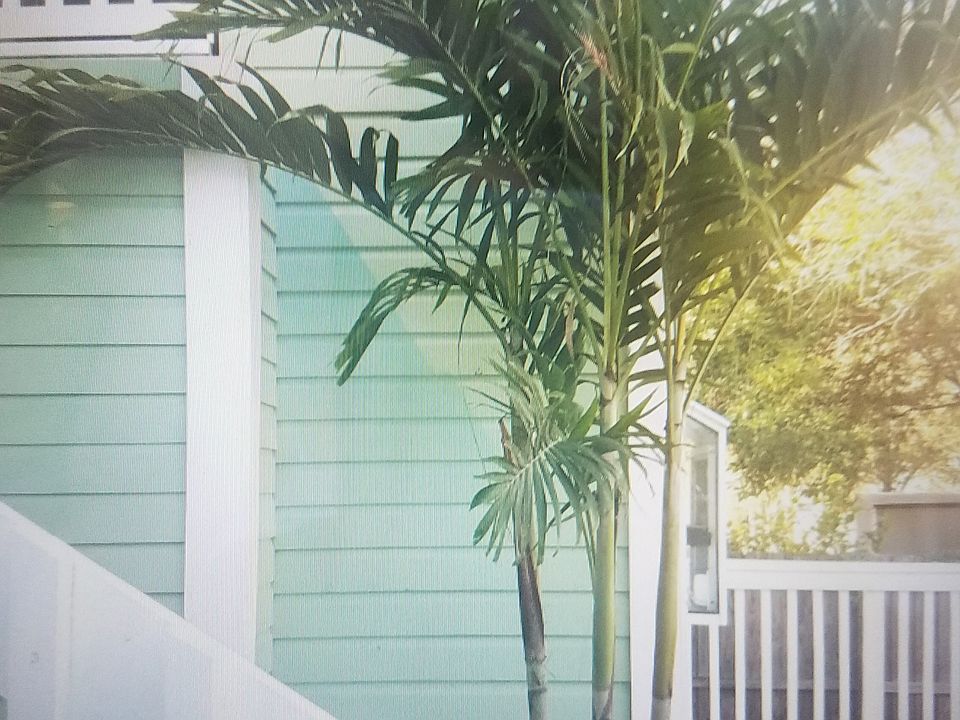 2nd image of 4200 Viola Ave