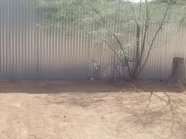 816 E Drachman Studio Tucson Ave — Photo 12