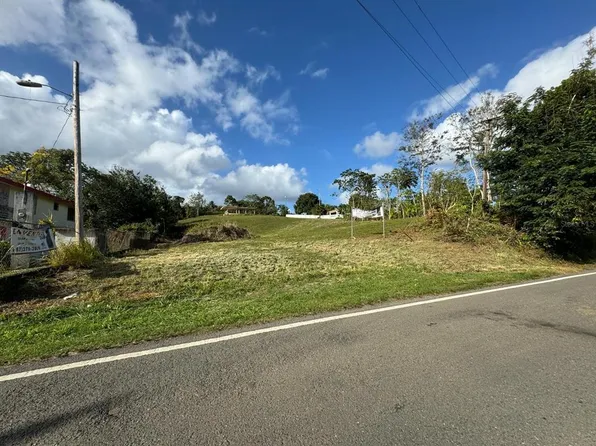 State Highway 973, Naguabo, PR 00718