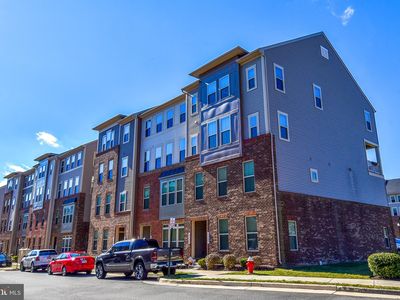 25291 Gray Poplar Ter, Aldie, VA, 20105