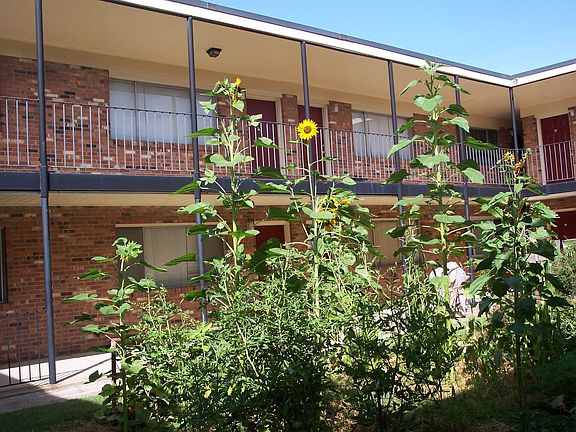 3rd image of 1243 E Ocean View Ave #18