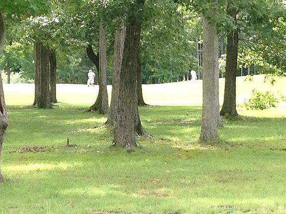 3rd image of Pungo Dr