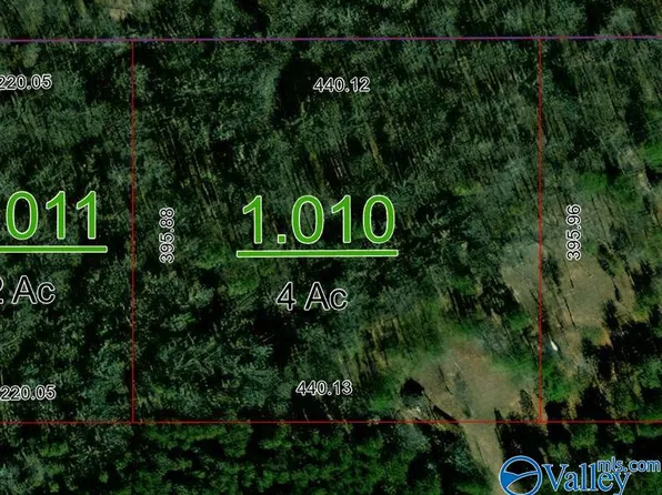 64 County Road 915, Collinsville, AL 35961