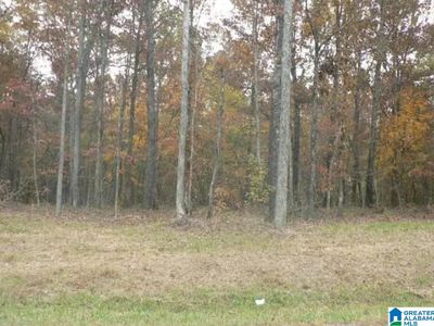 0 Highway 51 LOT 2, Sterrett, AL, 35147